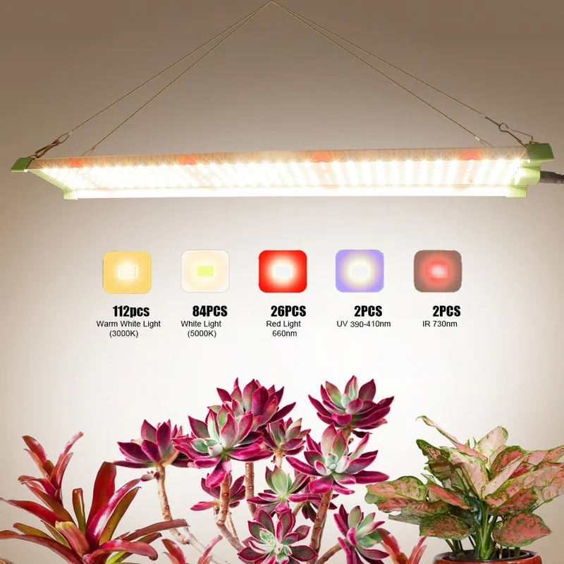 ledlightsworld2497009