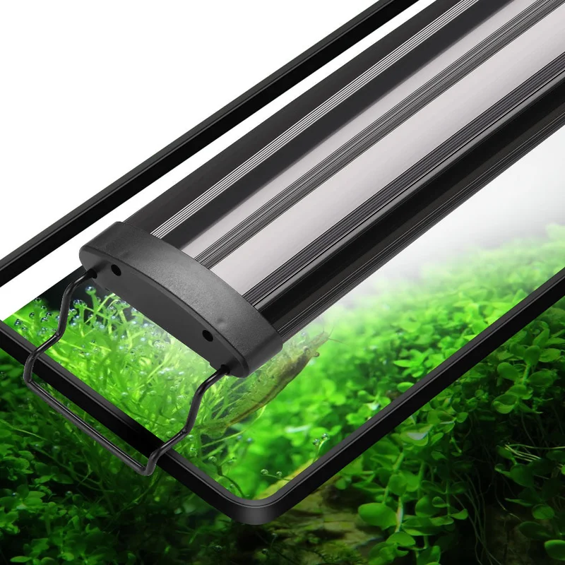 ledlightsworld2643360