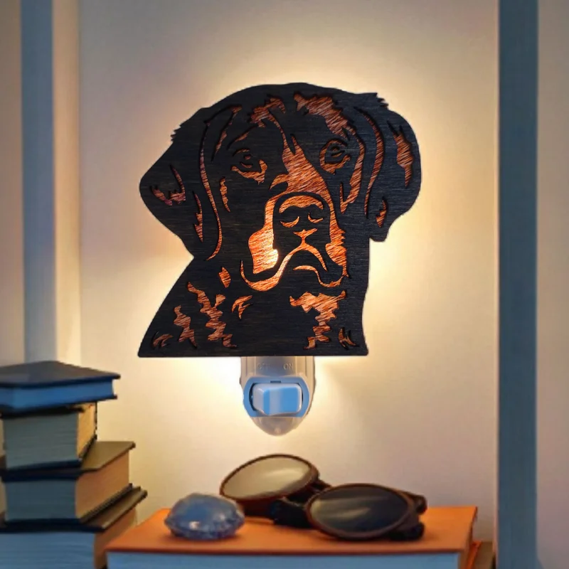 nightlightsavings2464700