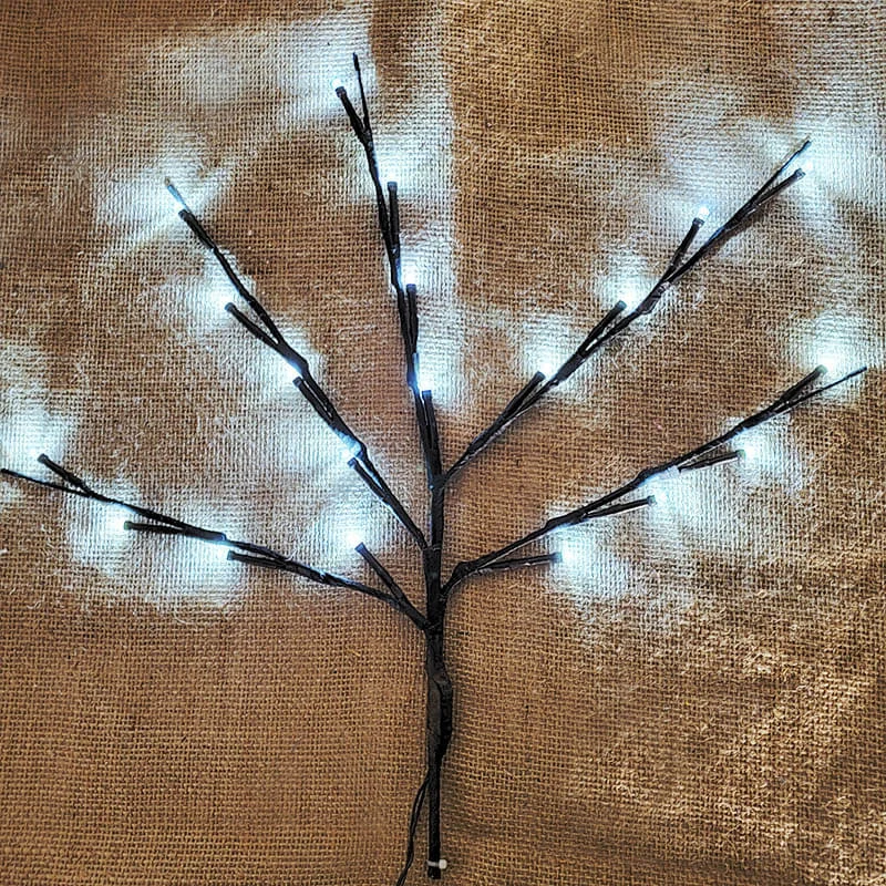 oogalights-2635805