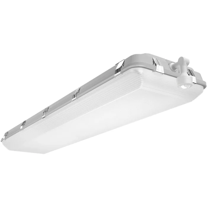 prolighting2-2701934