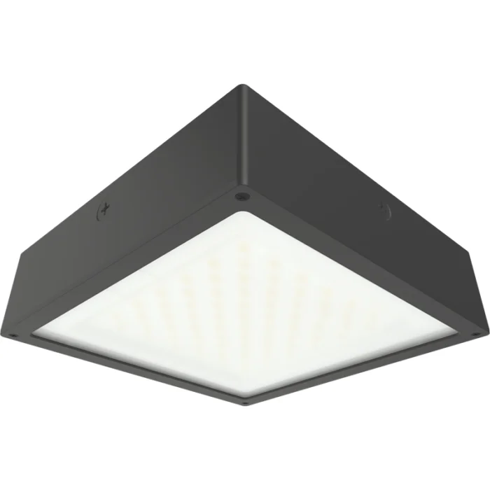 prolighting2-2707067