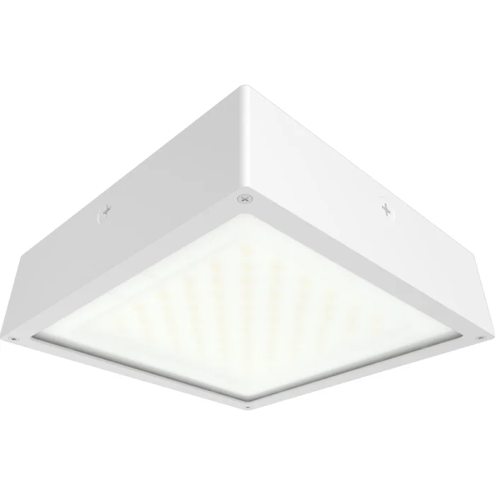 prolighting2-2707082